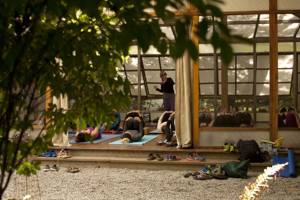 People doing yoga outdoors under glass covering beside tree on deck
