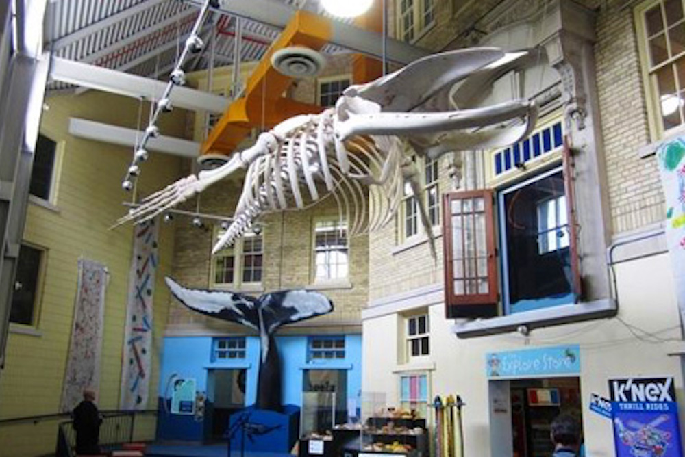 interior of children's museum with dinosaur bones hanging off ceiling