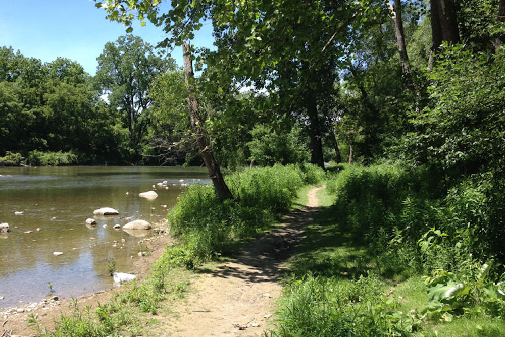 view of creek from walking trail beside water surrounded by trees on a sunny day