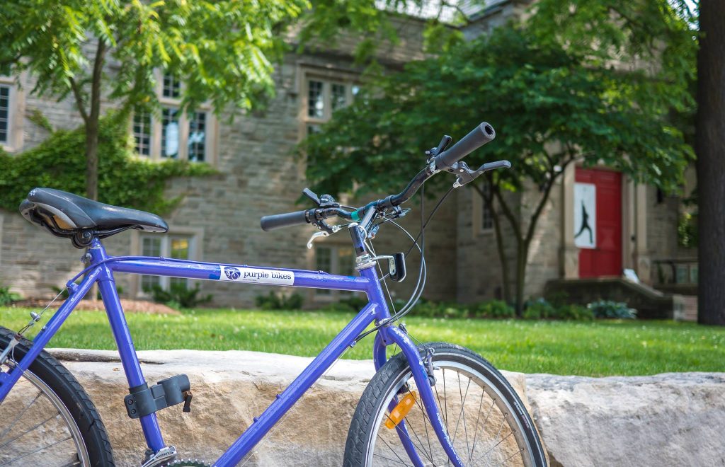 side view of purple bike in front of building with trees