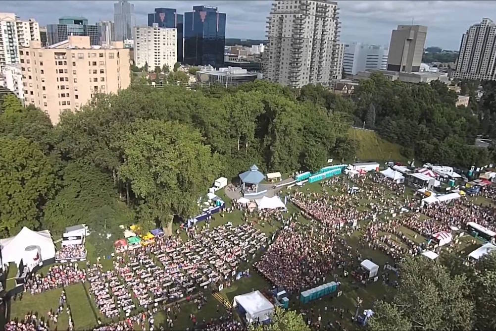 aerial view of park with large audience