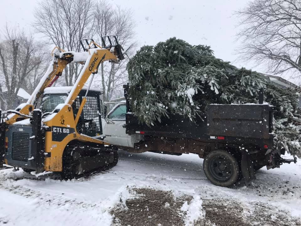 yellow digger putting very large christmas tree into large truck bed on a snowy day