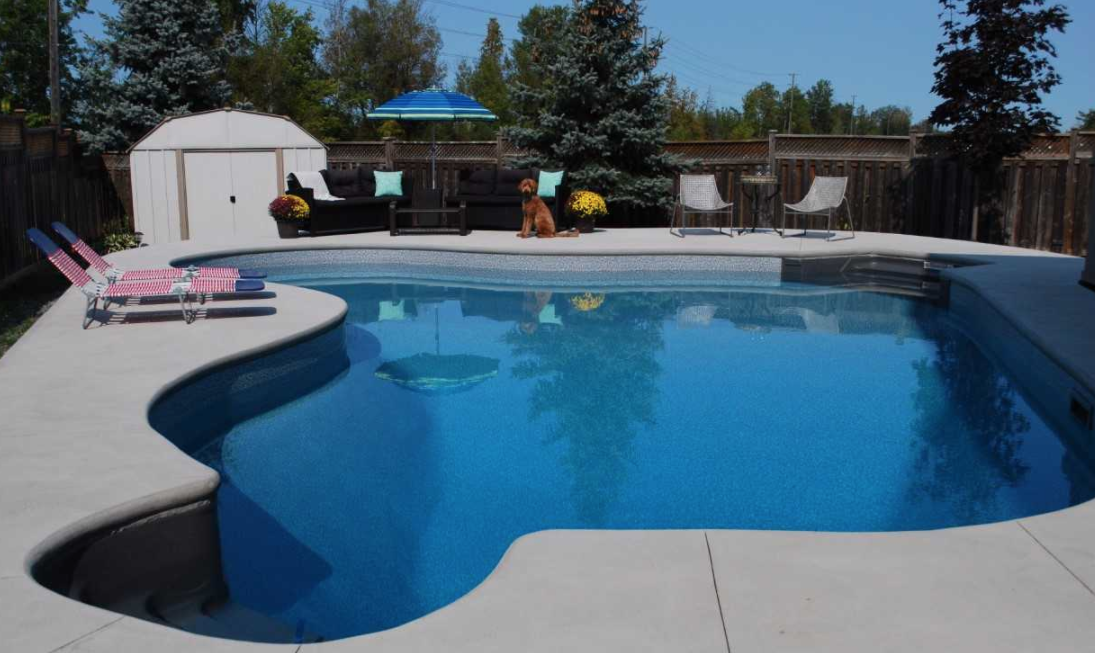 large backyard pool with patio furniture and a dog in the background