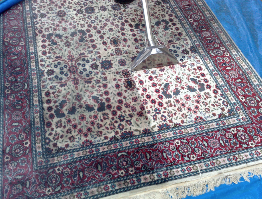 picture of a rug being steam cleaned with difference between dirty and clean carpet