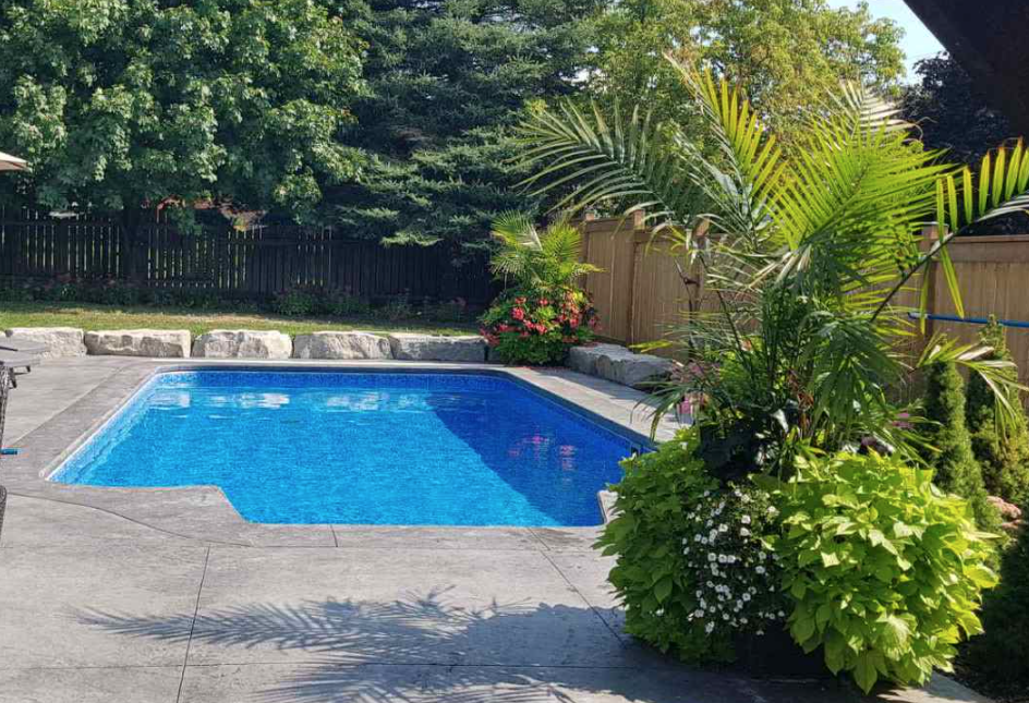 large backyard rectangular pool with many tropical plants surrounding