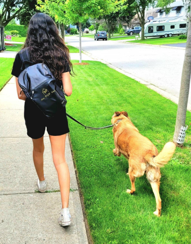 woman walking a brown dog on a sunny day