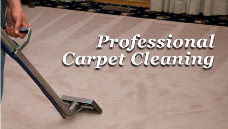 Carpet cleaner on a carpet