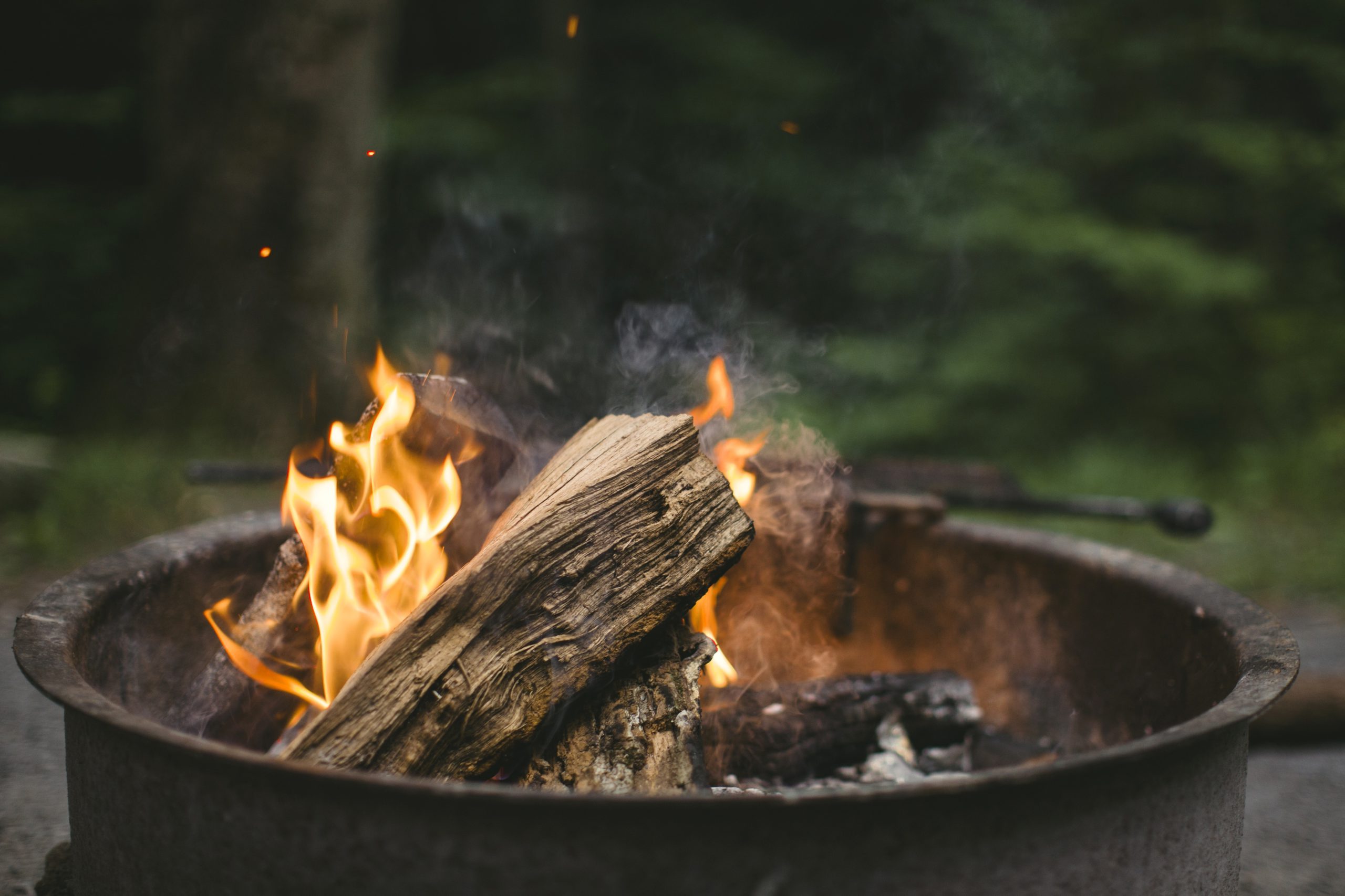 Fire pit with logs with fire lit in a forest