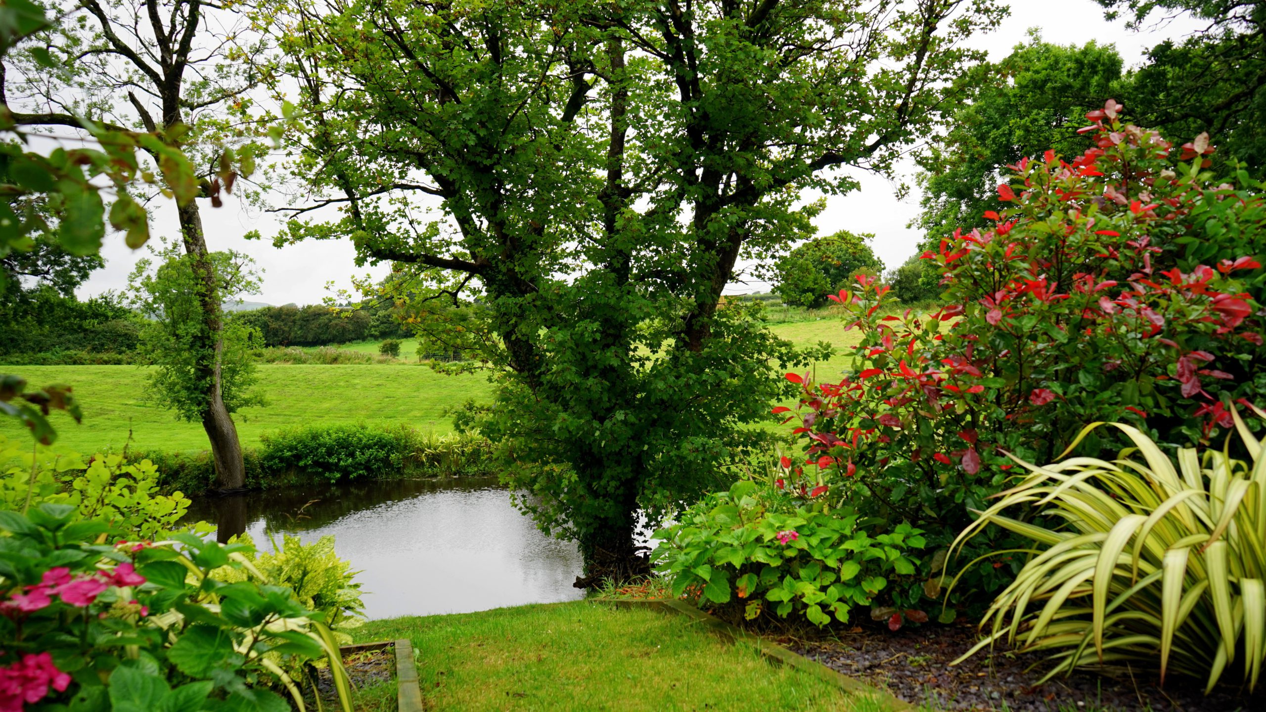 View of creek behind landscaped garden with fields in the background
