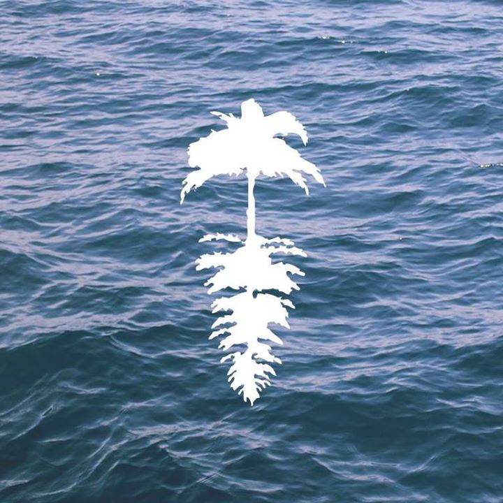 Life of Leisure's logo with ocean background with tree