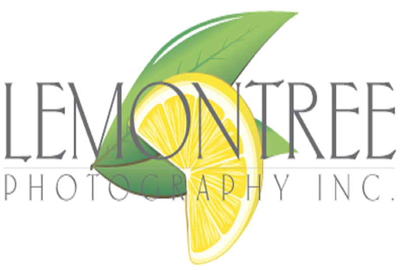 Lemontree Photography logo on white background