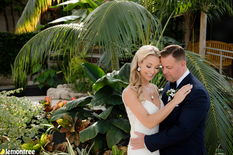groom and bride hugging in front of greenery, indoor pond, and palm trees