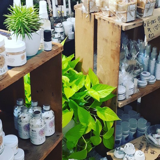 variety of skincare products on shelf at store with plants surrounding shelves