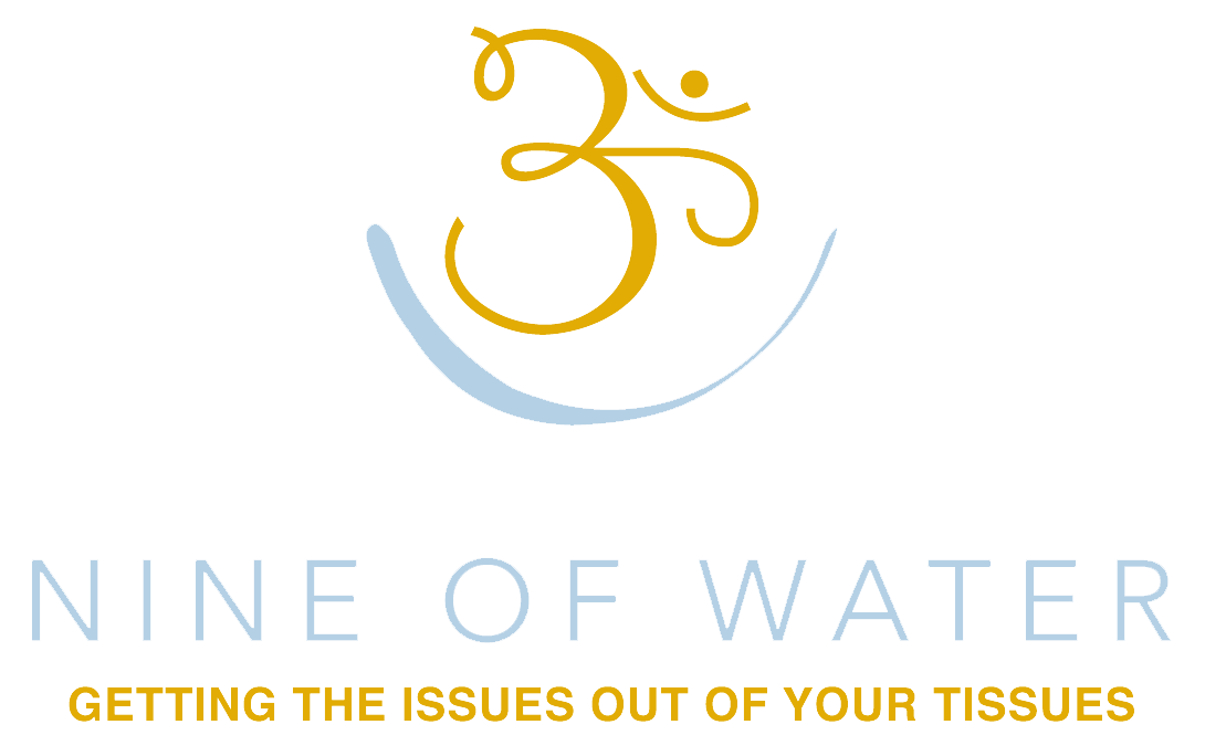 nine of water logo with blue and orange accents