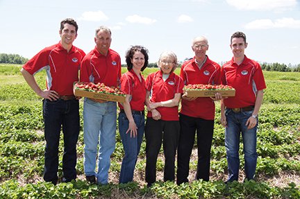 group of farmers on field with fresh strawberries all wearing red shirts on a clear day