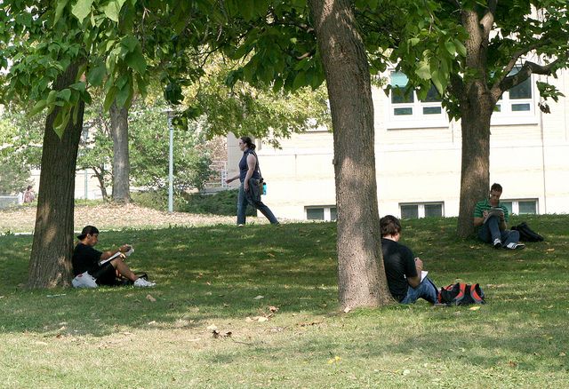 students sitting and studying under trees sitting apart