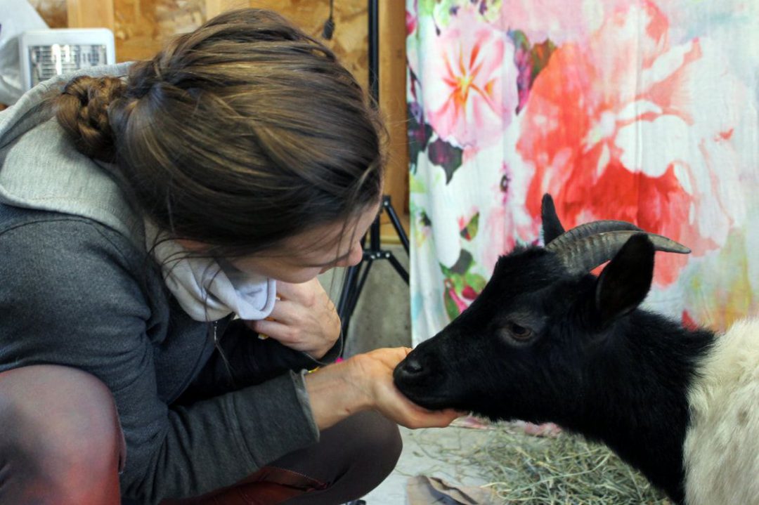 woman kneeling down petting goat in front of colourful mural