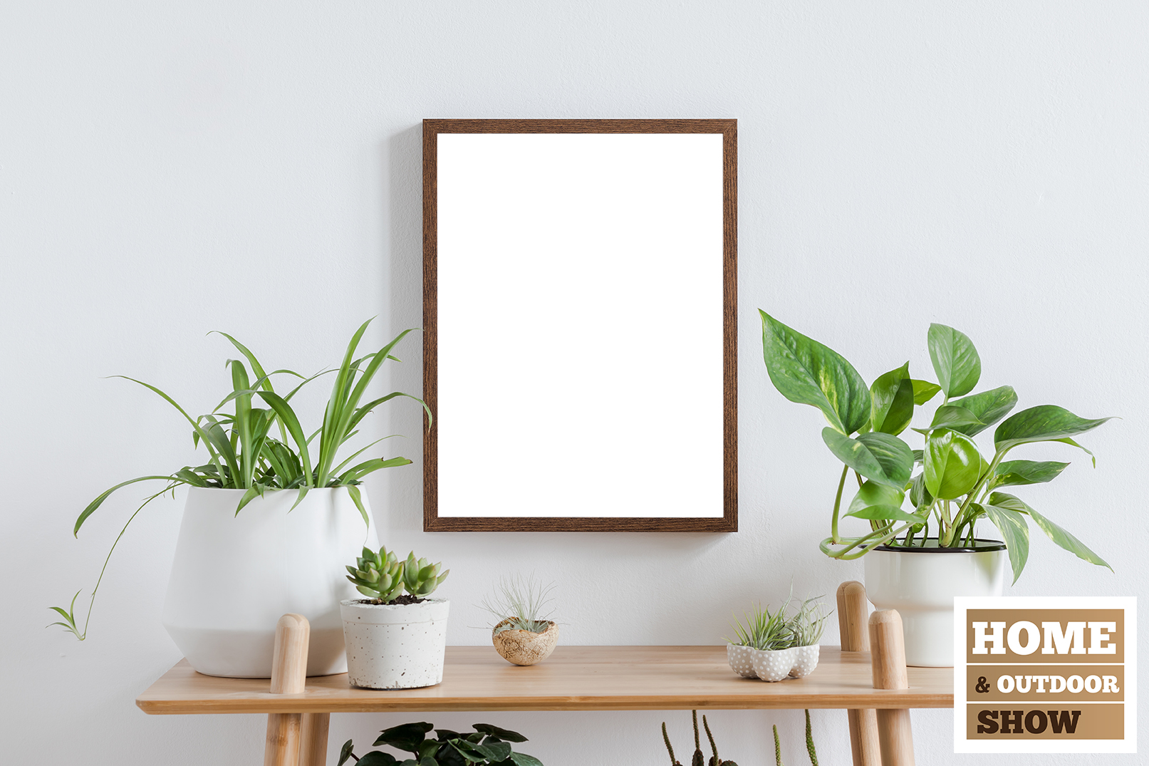 close up of living area table with plants and empty frame sitting on wall on top
